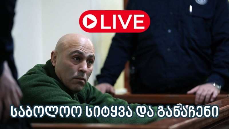 დასკვნითი სხდომა ანატოლი გიგაურის საქმე - ლაივბლოგი (12/08/2025)