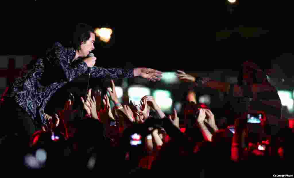 Nick Cave, Novi Sad, EXIT. 