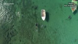 Najveća školjka Mediterana pred izumiranjem