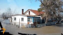 Ахбори бахшҳои Радиои Озодӣ