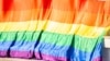 В Петербурге вынесли первое решение по статье о пропаганде ЛГБТ