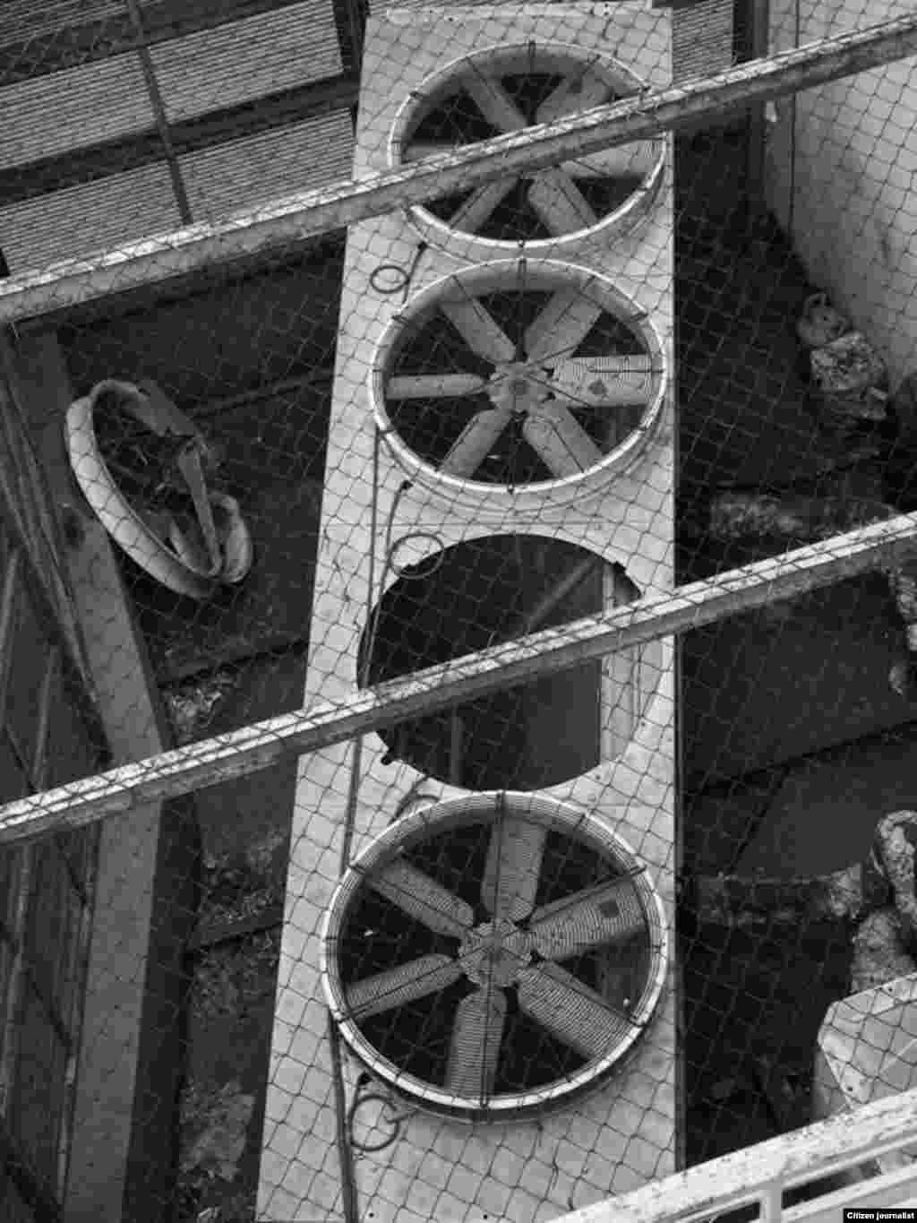 1 Laloseli Couple: "გმადლობ, გადაღებულია"