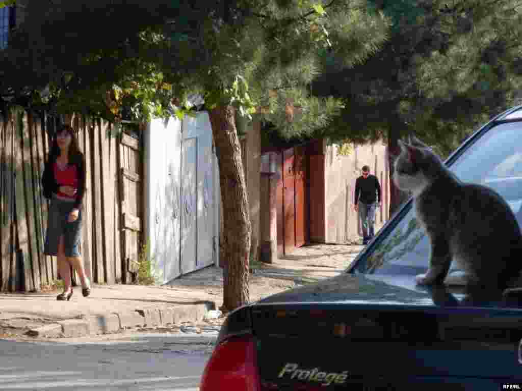 Georgia - Life in Tbilisi's Havlabar district #27