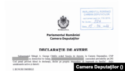 Fotogalerie - declarația de avere Cătălin George Stângă