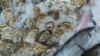 Specialiștii recomandă să preparăm și să păstrăm corect alimentele și să le ținem aparte pe cele crude și cele gătite, pentru a evita contaminarea.