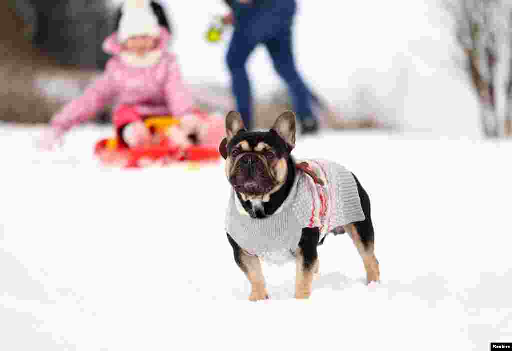 Djevojčica i pas igraju se na snijegu u Glenariffeu, Sjeverna Irska, 4. januara 2026.