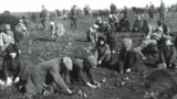 Famine in the USSR in 1946-1947