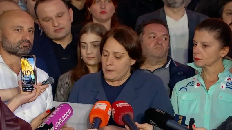 ელენე ხოშტარიამ და გედევან ფოფხაძემ შიმშილობა შეწყვიტეს