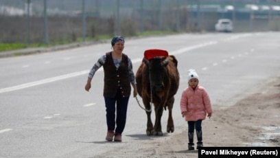 Эротикалық шлюха ком