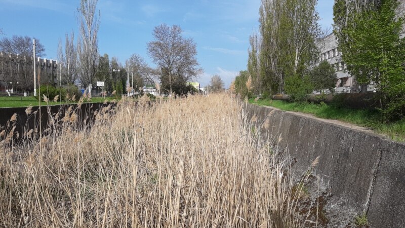 Река в центре Керчи заросла тростником высотой в человеческий рост (+фото)