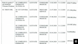 Contractele publice ale firmei deținute de mama deputatului Dan Vîlceanu