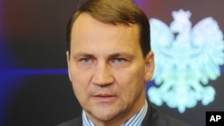 Former Polish Foreign Minister Radek Sikorski (file photo)