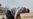 U.S. Defense Secretary Arrives In Iraq