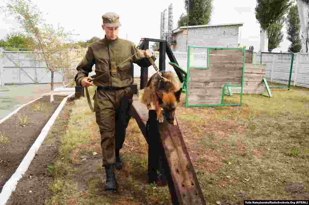 У військовій частині пишаються своїм &laquo;собачим містечком&raquo;: співробітники утримують і навчають службових собак для охорони масових акацій протесту, роботи на блокпостах, у зоні АТО тощо. Породисті вівчарки стають друзями солдатів