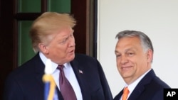 Trump i Orban u Washingtonu, SAD, maj 2019.