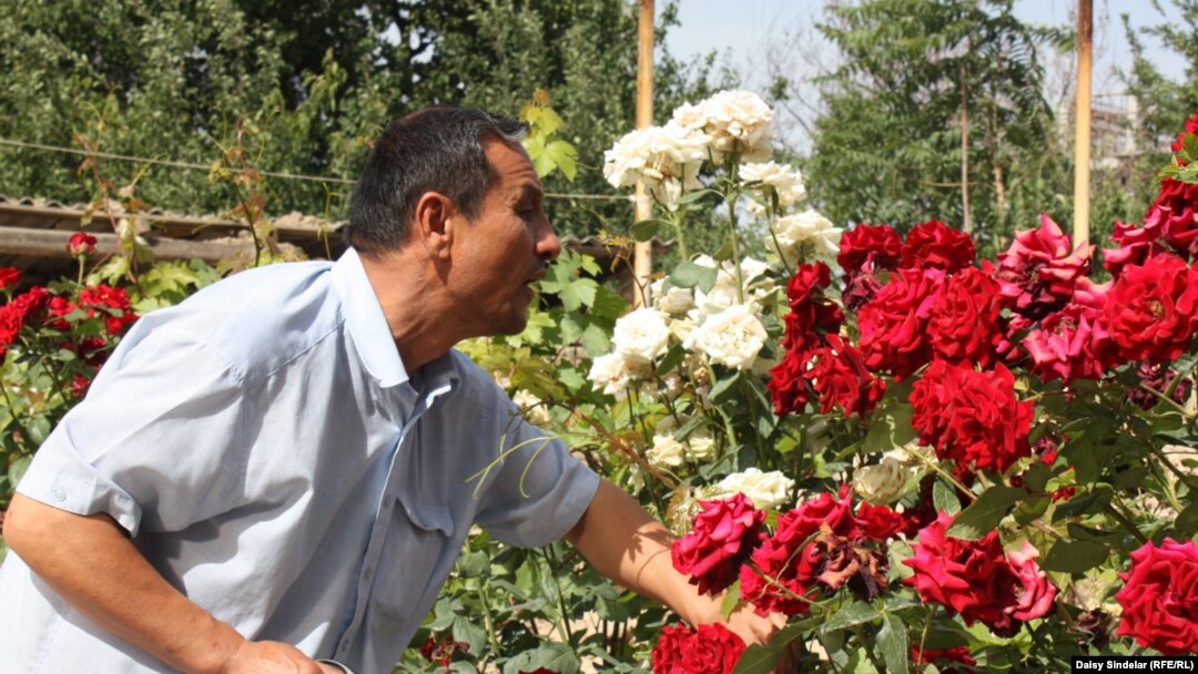 Azyn Yusupov, an ethnic Uzbek in the southern city of Osh, tends to his roses at his home in the city's Osh District, which was destroyed by fire during the June 2010 ethnic clashes.