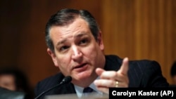 Senate Judiciary Committee member Sen. Ted Cruz, R-Texas, speaks during a Senate Judiciary Committee hearing on nominations on Capitol Hill in Washington, Wednesday, Nov. 15, 2017.