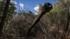 Ukrainian servicemen prepare to fire a self-propelled howitzer toward Russian troops in the Donetsk region on September 22. 