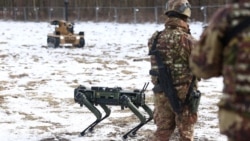 Роботизована платформуаQ-UGV «Cesare» італійської компанії Veco Robotics та безпілотний наземний комплекс «ASLAN» під час навчань НАТО Steadfast Dart 2026 у Бергені. Німеччина, 19 лютого 2026 року