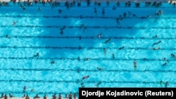 Ljudi se kupaju na bazenu tokom toplotnog talasa, 29. jun, Beograd, Srbija.