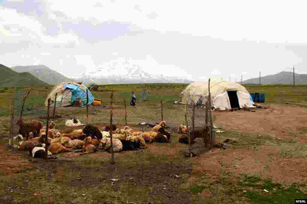 Savalanın ətəklərində köçəri Şahsevenlər #14