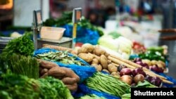 Иллюстративное фото