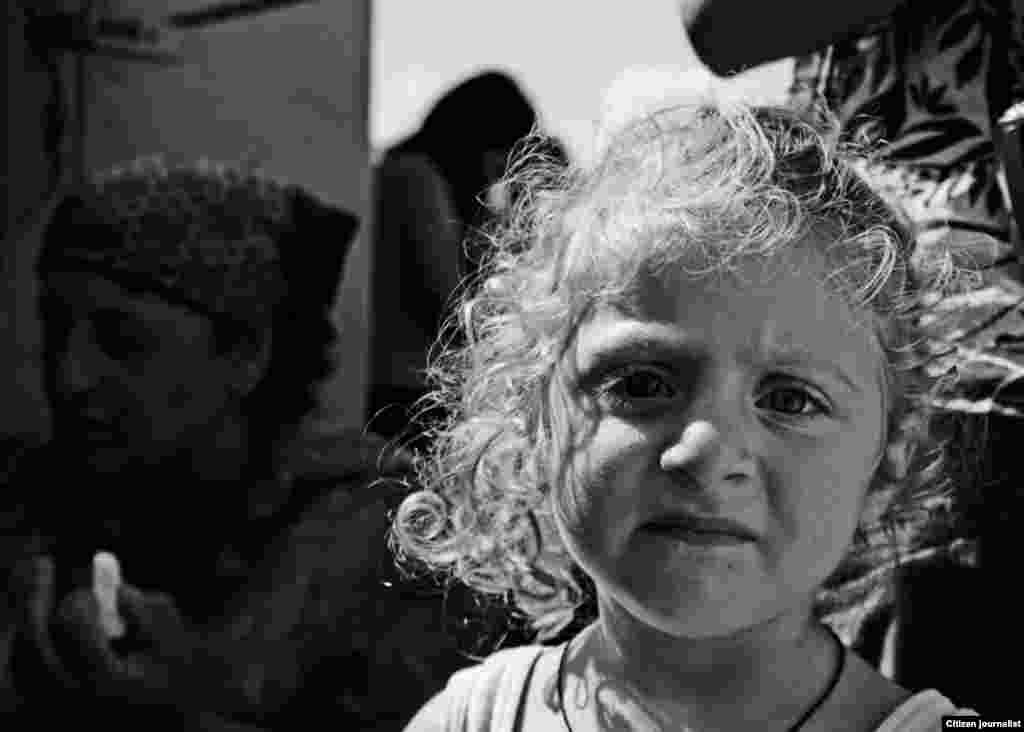 42 დავით მირველაშვილი: "ყველი"