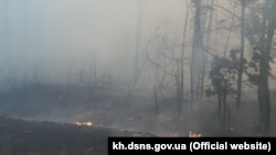 За данами рятувальників, на Харківщині вогонь загасили, а на Луганщині пожежу локалізували