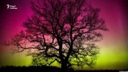 Як так атрымалася, што ў Беларусі можна браць чужое?