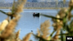 Илустрација: Мирно крајбрежје во Дојран. 