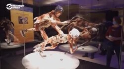 Как коммунисты, РПЦ и «Единая Россия» объединились против «Мира тела»