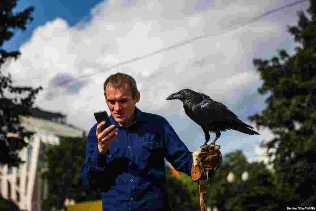 A man looks at his phone while walking with his pet raven in downtown Moscow on August 24.&nbsp;