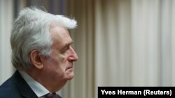 Former Bosnian Serb leader Radovan Karadzic in court in The Hague on April 24,