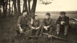 "Лесные братья" округа Витис, 1946 год