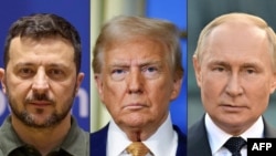 Владимир Зеленский, Дональд Трамп, Владимир Путин (комбинированное фото)