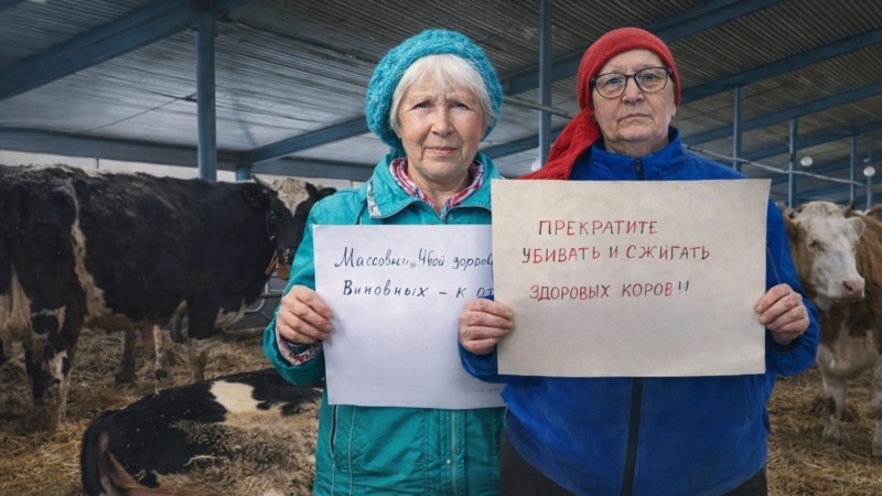 Скрыть не удастся