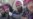 Balkan Militants Join Syria’s Rebel Cause