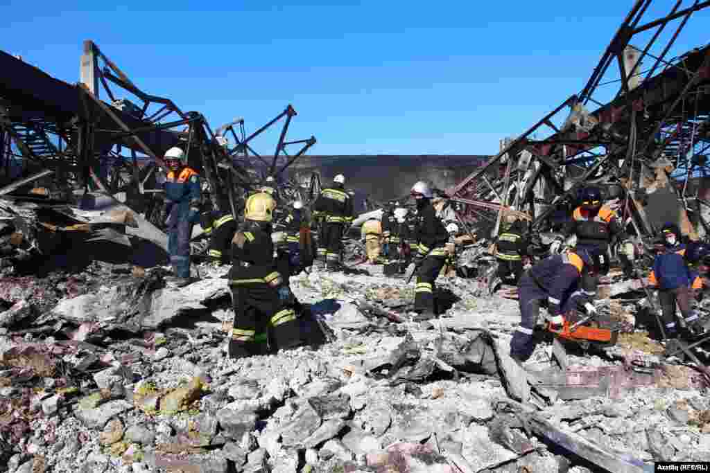 Коткаручылар үз эшләрен башкара