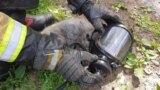 Пожарные спасли кота, пострадавшего при пожаре