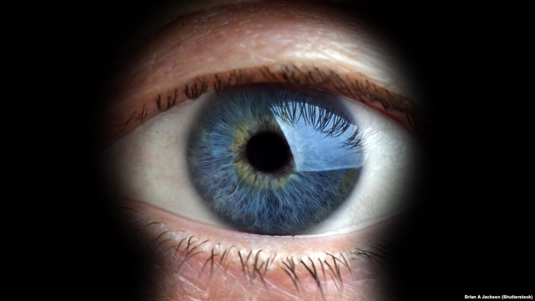 Foto: Arxiv