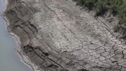 'Our Animals Are Dying': Water Goes Bad In Azerbaijani Village