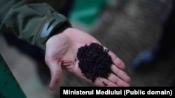 Cărbune activ granulat, substanță folosită la stația de tratare a apei de la Cosăuți