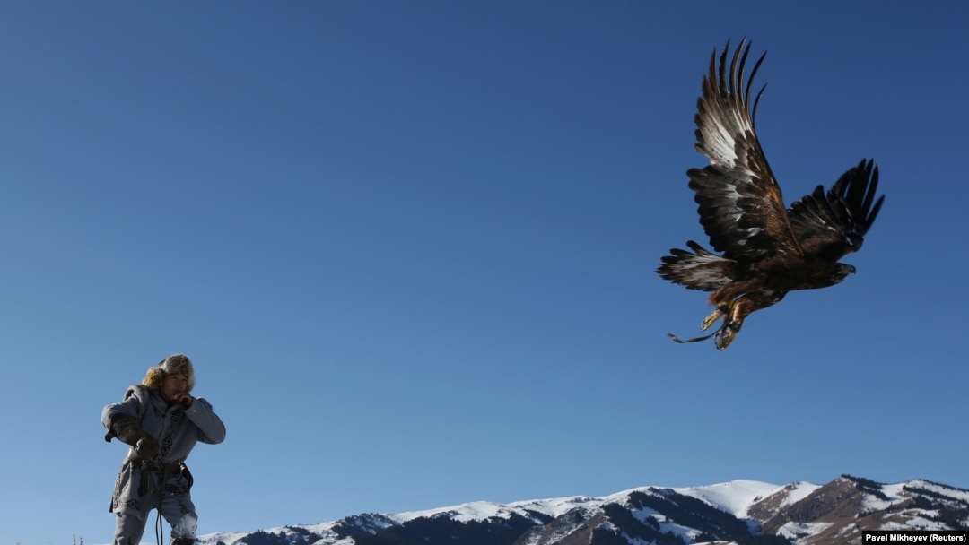 Гинекологиялық процедура бөлмесіндегі жасырын камера