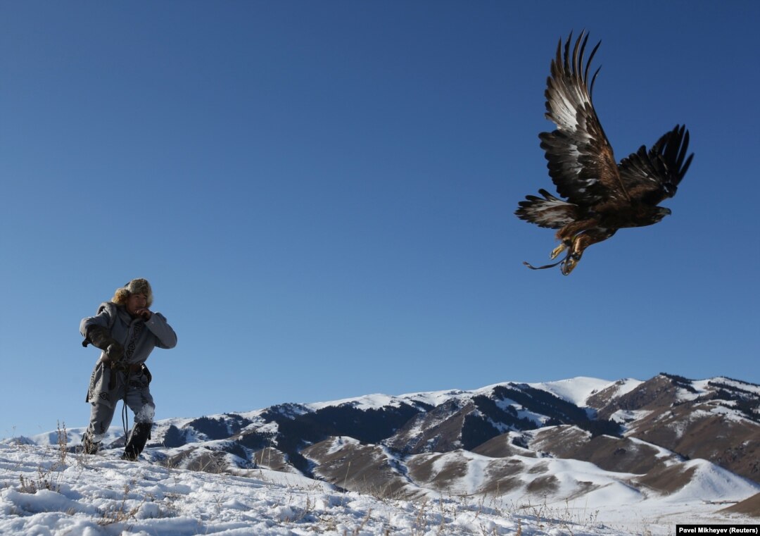 Қаншық шырынды болады