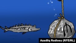 "Elman Rüstəmovun batması". Karikatura. Gündüz Ağayev.