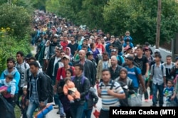 Menekültek tömege egy úton a magyar-osztrák határon.