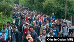 A magyar állam által Röszkétől vonattal hozott bevándorolni szándékozókat tereltek Hegyeshalom egyik utcájába, hogy gyalog menjenek az osztrák határig 2015. szeptember 14-én