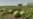 Ukraine - drones hit watermelon fields in Kherson region - screen grab