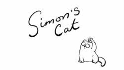 cat video