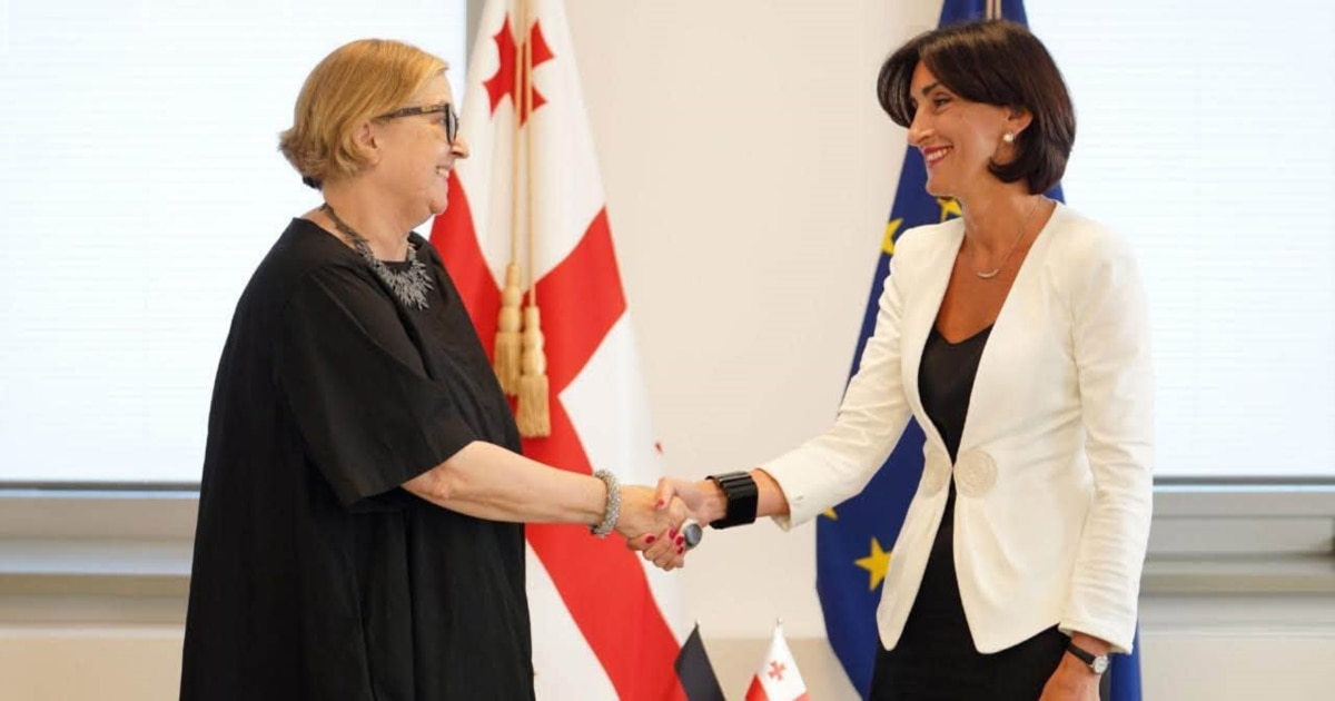 ბოჭორიშვილს ბერლინთან ურთიერთობებში ახალი ელჩის პოზიტიური წვლილის იმედი აქვს
